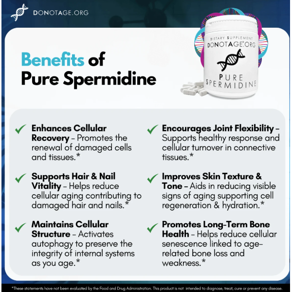 Pure Spermidine - 30 Capsules supplement