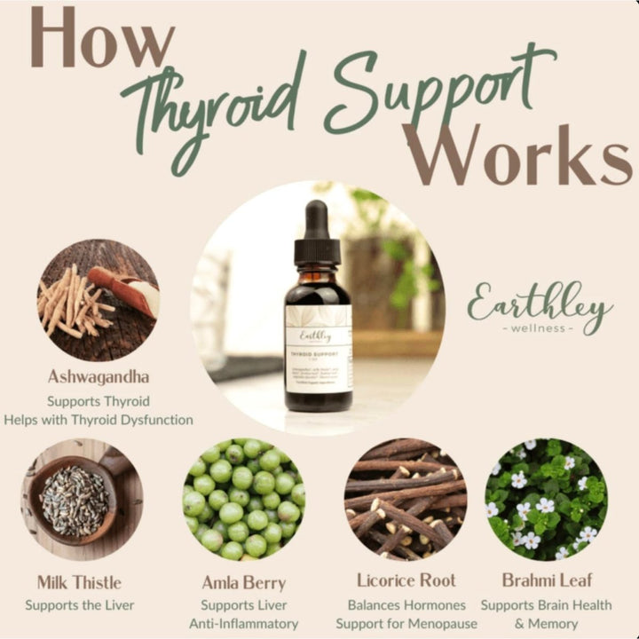 Earthley Wellness Thyroid Support, Helps Support Energy, Promote Healthy Brain Function and Overall Wellness (4oz) - The Oasis of Health