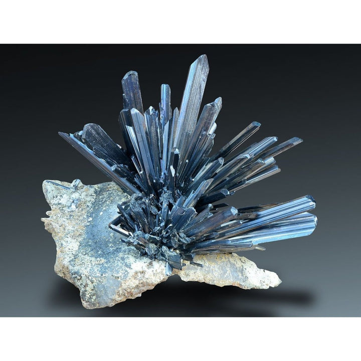 Ecological Formulas Laurisin 90 Capa - The Oasis of Health