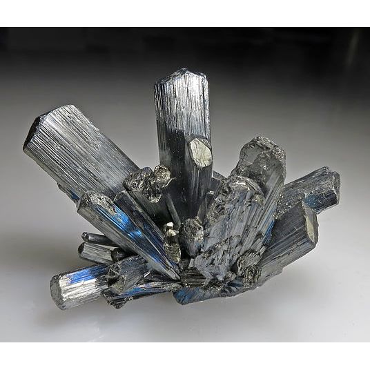 Ecological Formulas Laurisin 90 Capa - The Oasis of Health