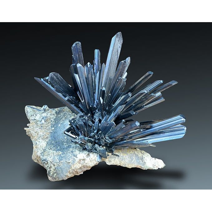 Ecological Formulas Laurisin 90 Capa - The Oasis of Health