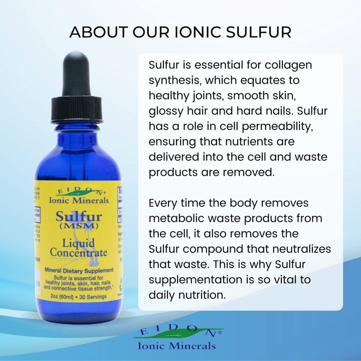Eidon Ionic Minerals Liquid Sulfur Concentrate 2 Oz Bottle - The Oasis of Health