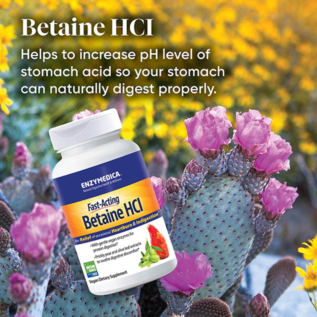Enzymedica, Betaine HCl, Occasional Heartburn and Indigestion Support, 120 Capsules - The Oasis of Health