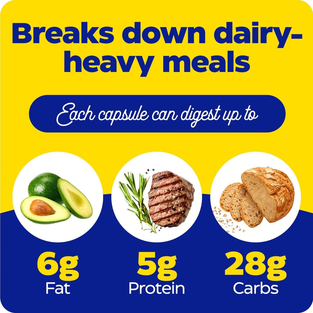 Enzymedica Lacto, Digestive Enzymes for Complete Dairy Digestion, Offers Fast - Acting Gas & Bloating Relief, Standard Packaging, 30 Count - The Oasis of Health