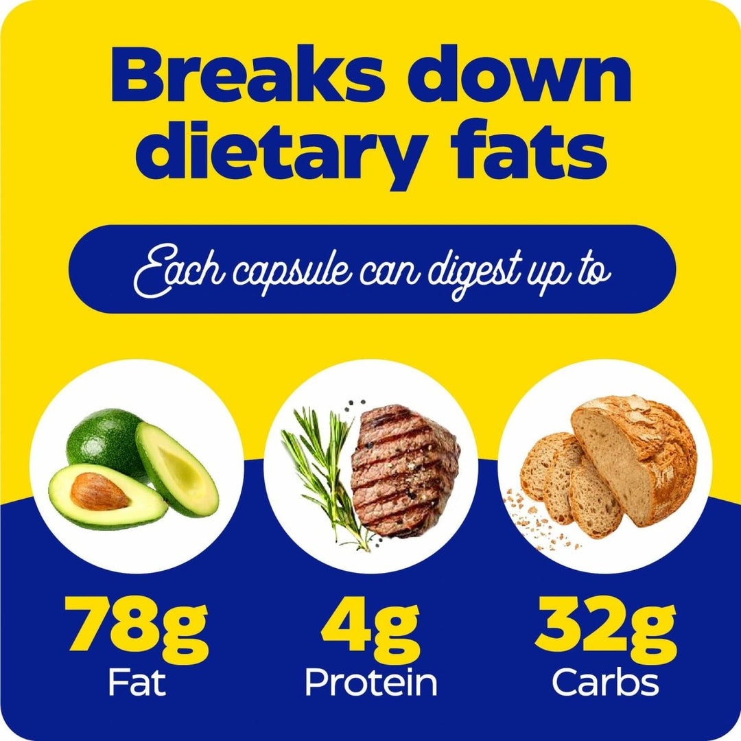 Enzymedica Lypo Gold, Digestive Enzymes for Fat Digestion, Offers Fast Acting Gas & Bloating Relief, 60 Count - The Oasis of Health