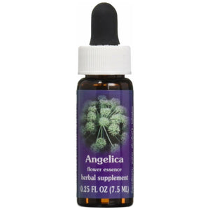 Flower Essence Services Angelica Essence, 0.25 Ounce - The Oasis of Health