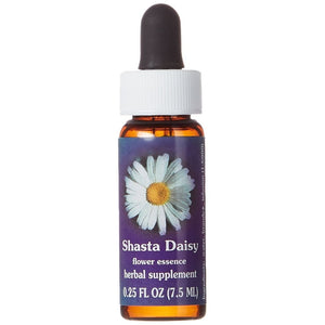 Flower Essence Services FES Quintessentials Dropper, Shasta Daisy Supplement, 0.25 Ounce - The Oasis of Health