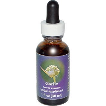 Flower Essence Services Garlic Dropper 1oz - FS0239 - The Oasis of Health