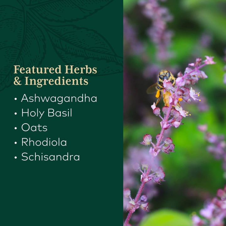 Gaia Herbs Adrenal Health Daily Support HPA Stress Response and Axis Management - The Oasis of Health