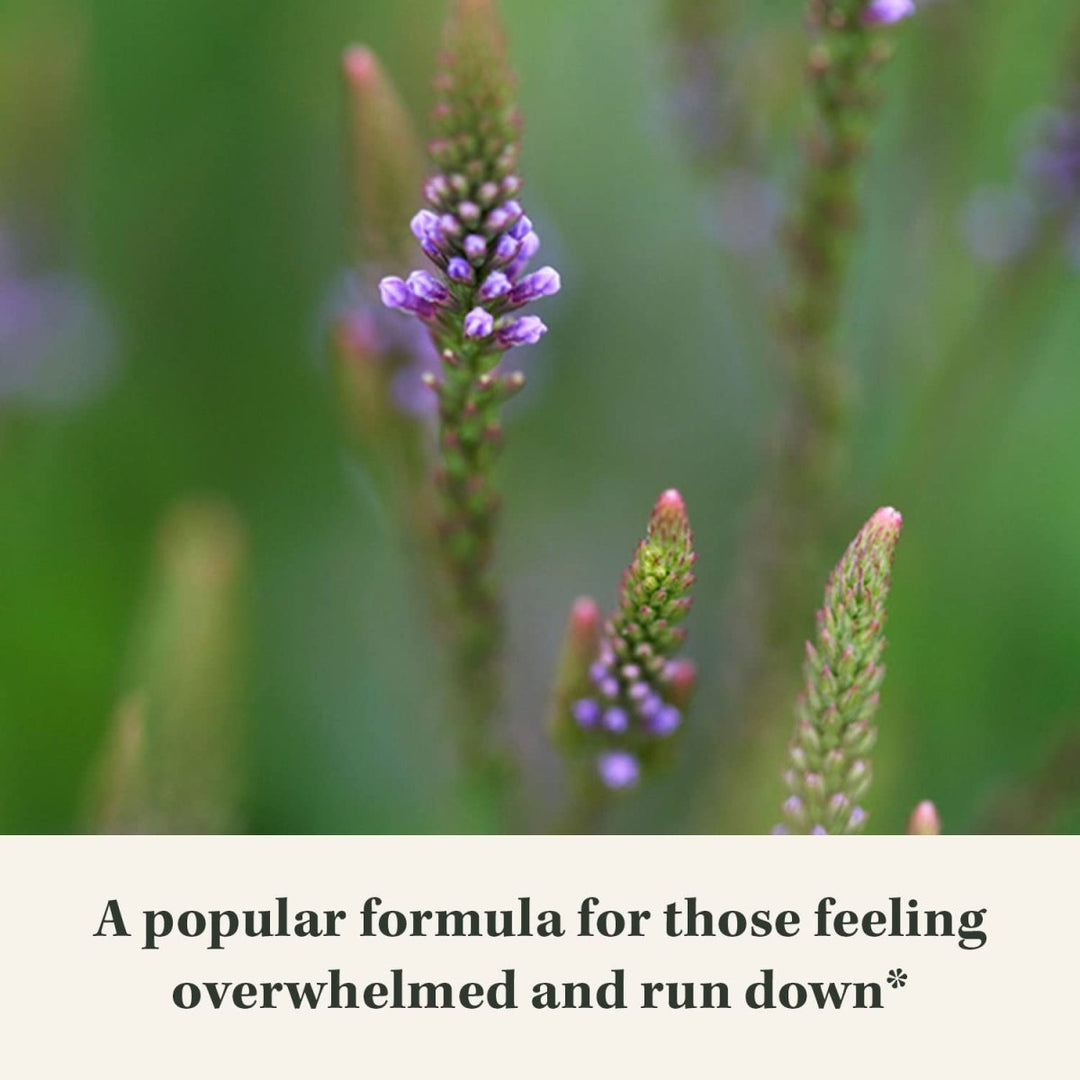 Gaia Herbs Adrenal Health Nightly Restore - 120 Vegan Liquid Phyto - Capsules (60 Servings) - The Oasis of Health