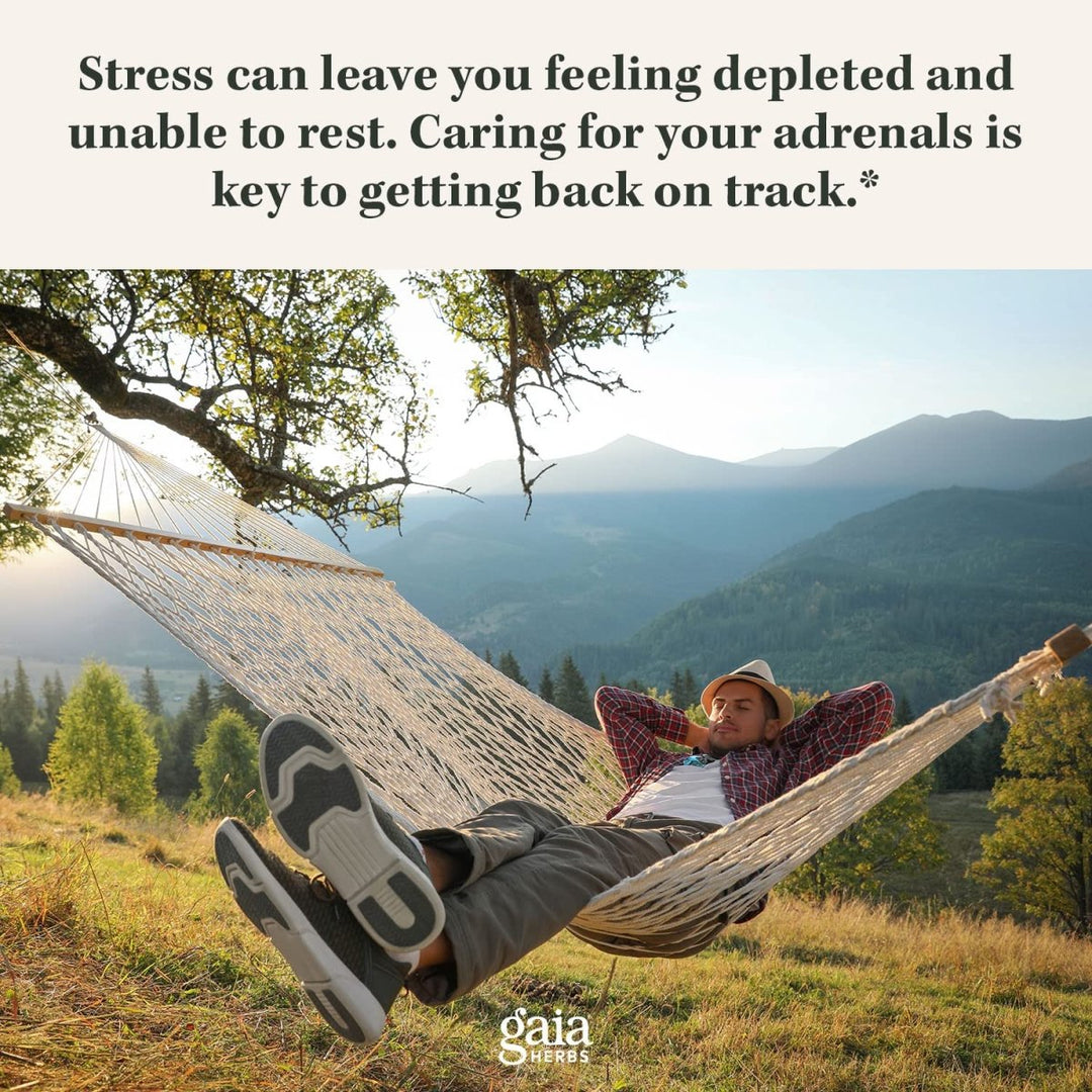 Gaia Herbs Adrenal Health Nightly Restore - 120 Vegan Liquid Phyto - Capsules (60 Servings) - The Oasis of Health