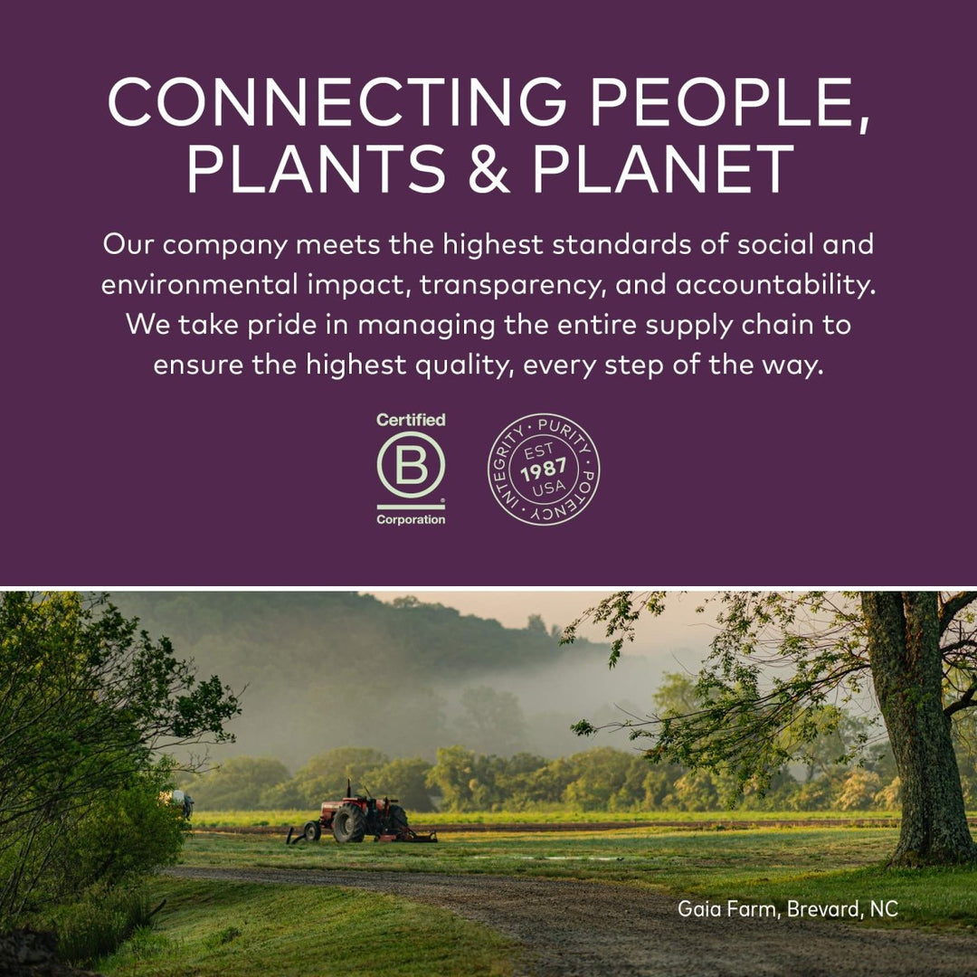 Gaia Herbs Black Elderberry, 5.4 Fl Oz (32 - Day Supply) - The Oasis of Health