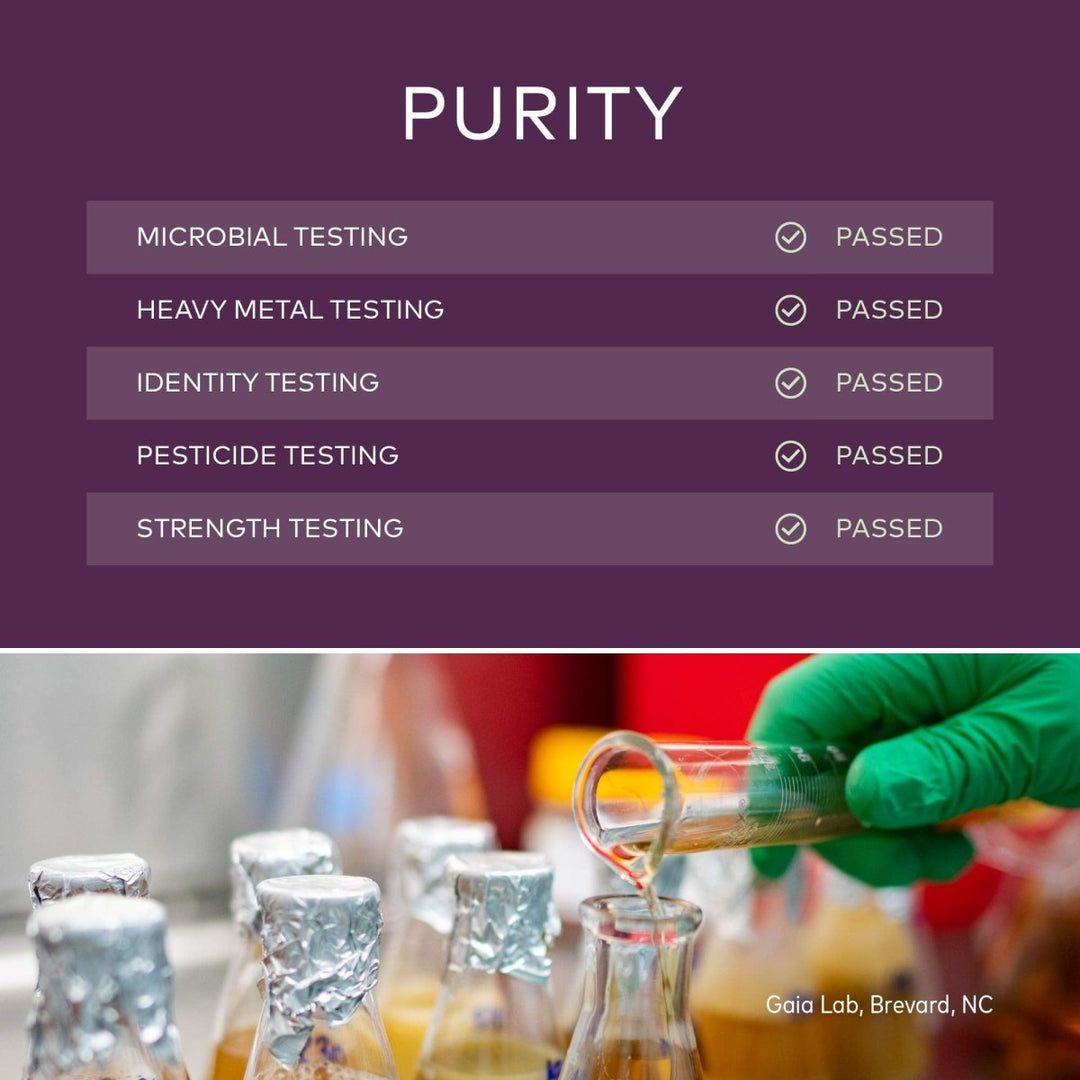 Gaia Herbs Black Elderberry, 5.4 Fl Oz (32 - Day Supply) - The Oasis of Health