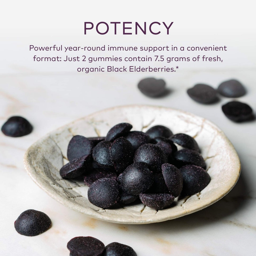 Gaia Herbs Black Elderberry Adult Daily Gummies - Immune Support Gummies with Black Elderberries - Elderberry Supplement to Aid Immune Health - Real Fruit Supplement - 80 Vegan Gummies - The Oasis of Health