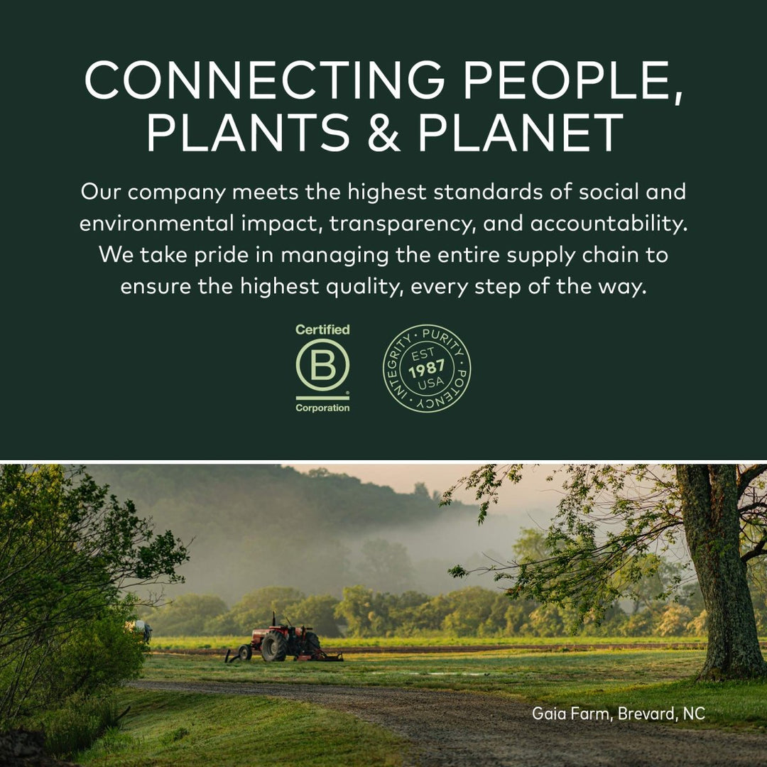 Gaia Herbs Black Elderberry - Daily Immune Support Supplement to Help Maintain Well - Being - with Black Elderberries and Acerola Fruit for Antioxidant Support - 60 Vegan Capsules (30 - Day Supply) - The Oasis of Health