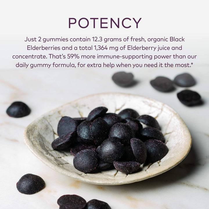 Gaia Herbs Black Elderberry Extra Strength Gummies - Immune Support with Certified Organic Black Elderberries - 40 Gummies - The Oasis of Health