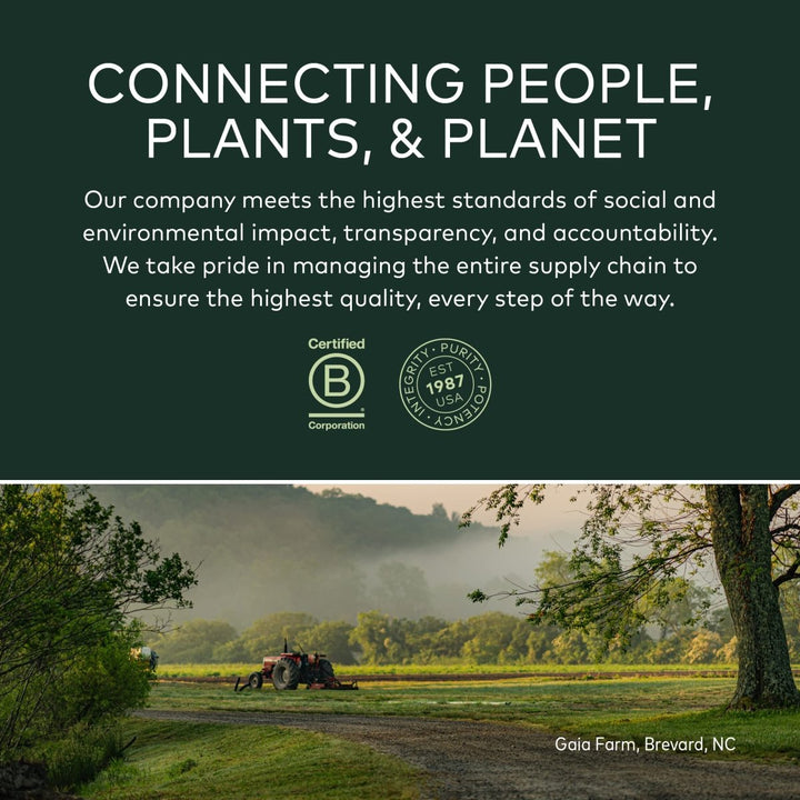 Gaia Herbs Black Elderberry (Sambucus Nigra) Syrup - Immune Support Supplement - Made with Organic Black Elderberries for Immune System Support - USDA Certified Organic Formula - 3 Fl Oz (18 - Day Supply) - The Oasis of Health