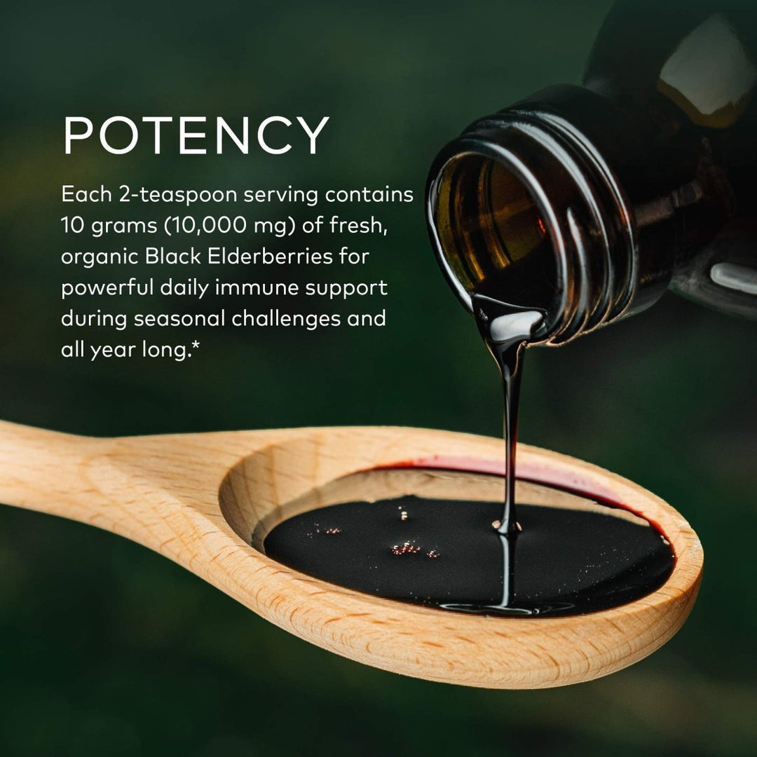 Gaia Herbs Black Elderberry Syrup Adult Daily - Immune Support Supplement - 3 Fl Oz (9 - Day Supply) - The Oasis of Health