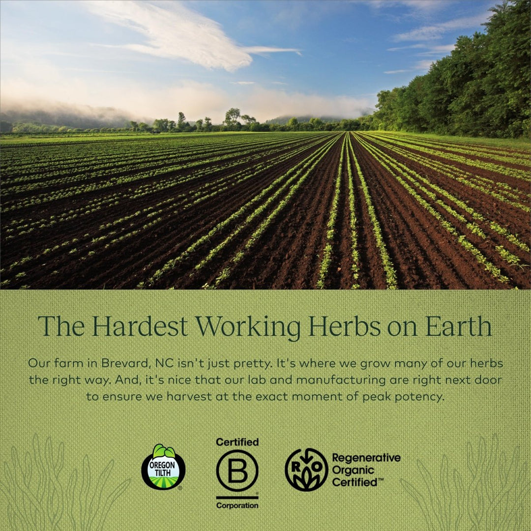 Gaia Herbs - Cordyceps Mushroom Energy Support 450 mg. - 40 Capsules - The Oasis of Health