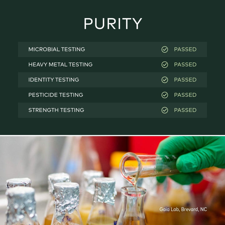 Gaia Herbs Echinacea Goldenseal - Immune & Respiratory Support - 60 Vegan Liquid Phyto - Capsules - The Oasis of Health