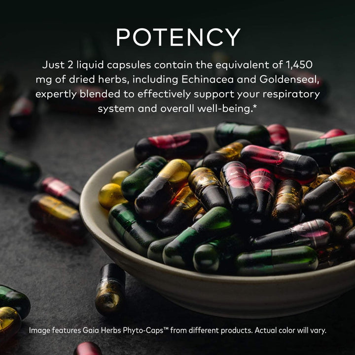 Gaia Herbs Echinacea Goldenseal - Immune & Respiratory Support - 60 Vegan Liquid Phyto - Capsules - The Oasis of Health