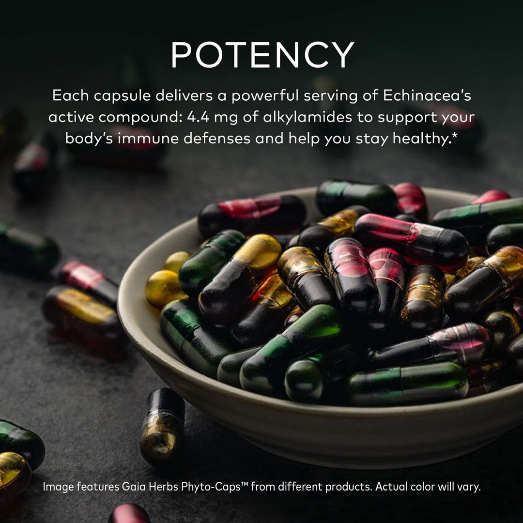 Gaia Herbs Echinacea Supreme 60 Vcaps - The Oasis of Health