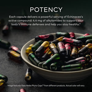 Gaia Herbs Echinacea Supreme 60 Vcaps - The Oasis of Health