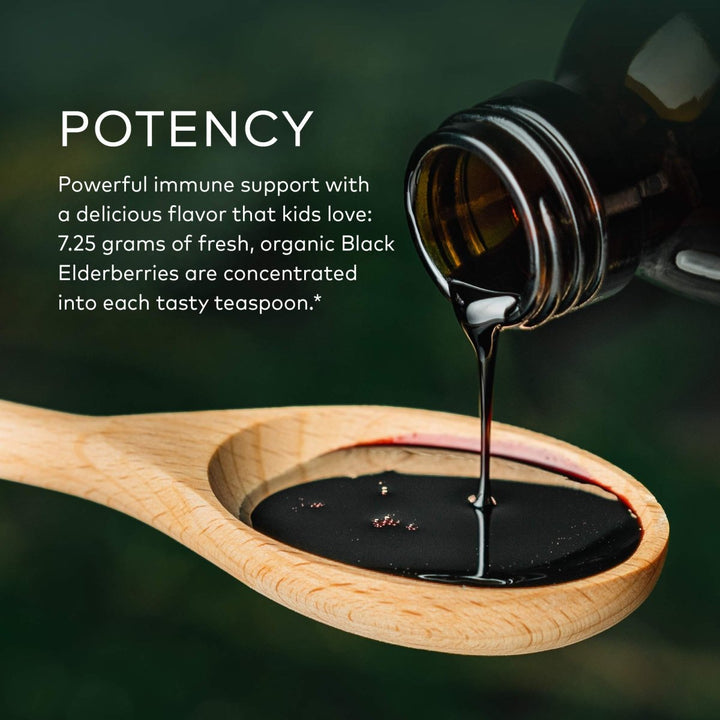 Gaia Herbs GaiaKids Black Elderberry Syrup - Delicious Immune Support Supplement for Kids - with Organic Black Elderberries and Honey - USDA Certified Organic Black Elderberry Syrup - 3 Fluid Ounces - The Oasis of Health
