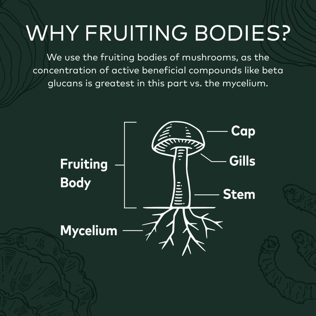 Gaia Herbs Immune Mushroom Blend 40 Vcaps - The Oasis of Health