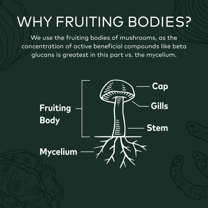 Gaia Herbs Immune Mushroom Blend 40 Vcaps - The Oasis of Health