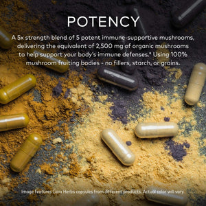 Gaia Herbs Immune Mushroom Blend 40 Vcaps - The Oasis of Health