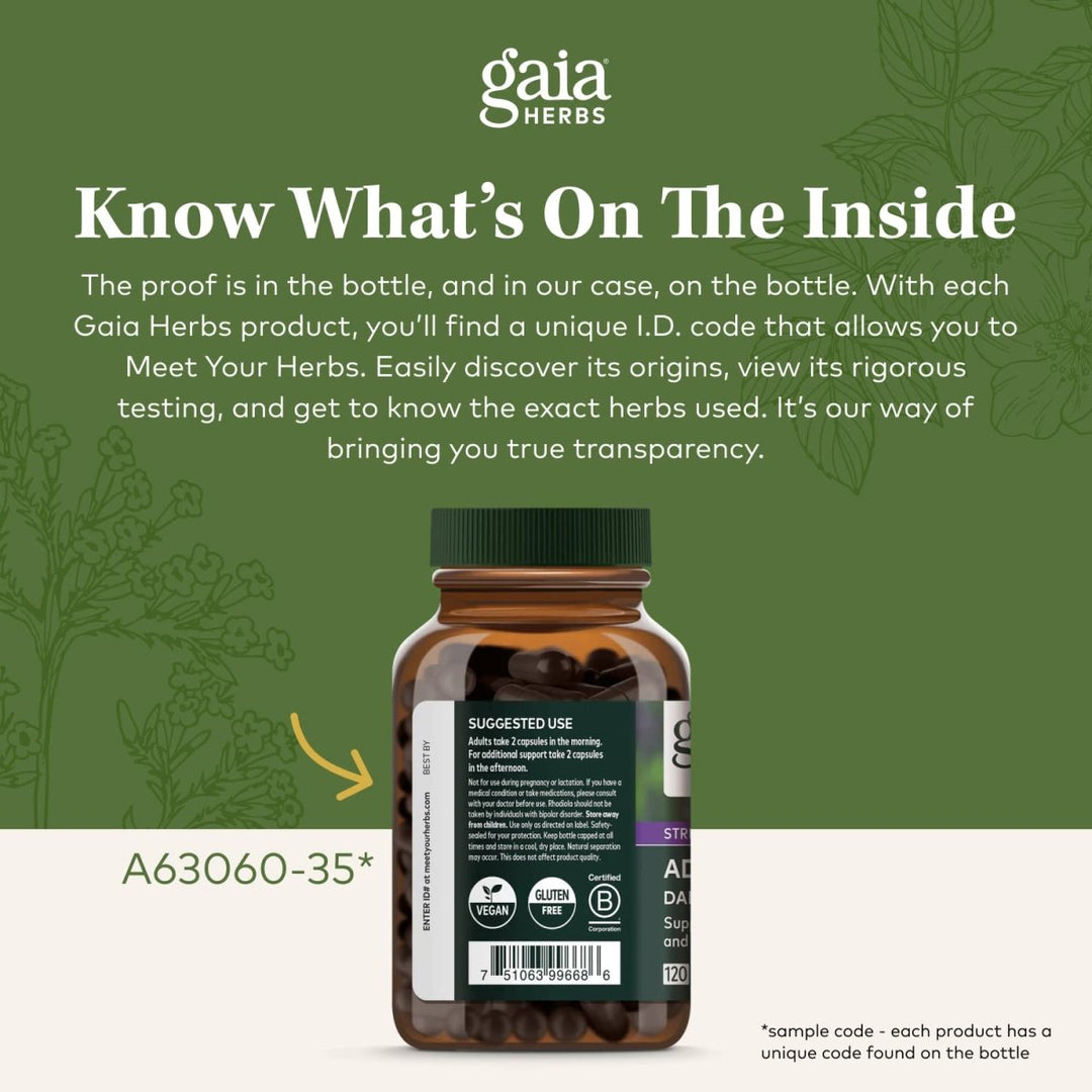 Gaia Herbs Lion's Mane Mushroom 40 Vcaps - The Oasis of Health