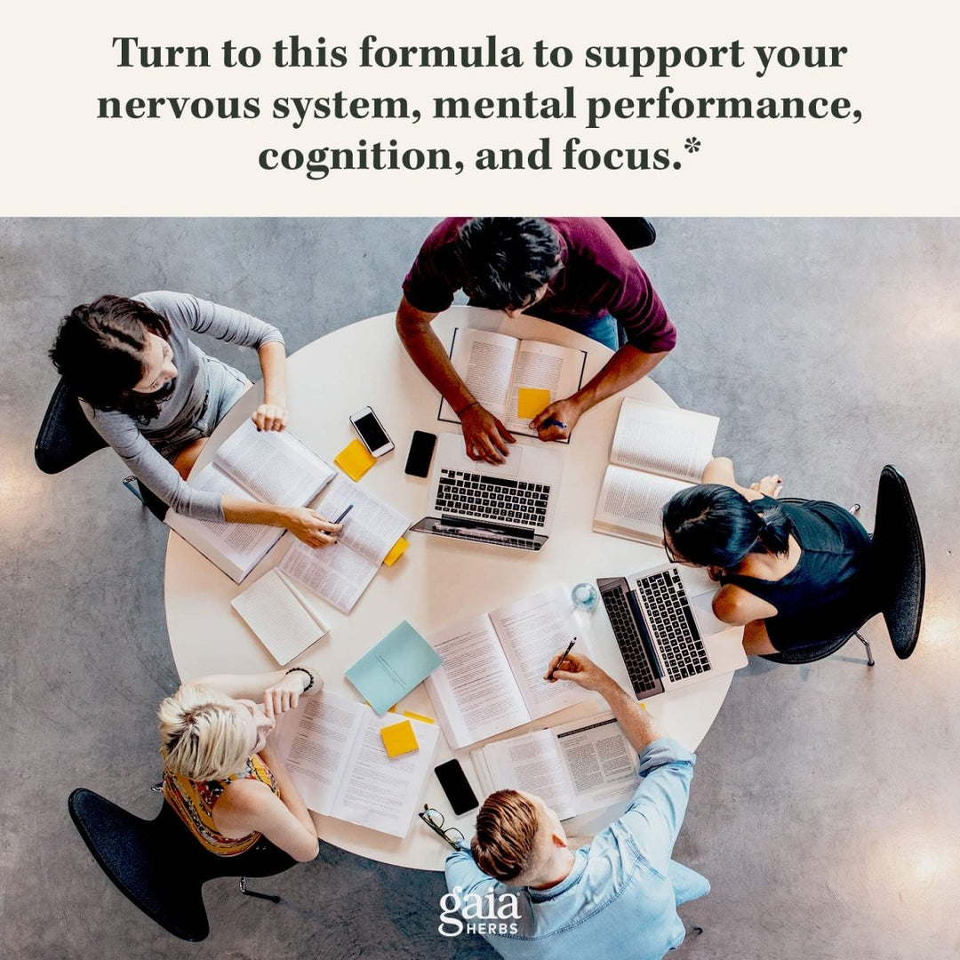 Gaia Herbs Lion's Mane Mushroom 40 Vcaps - The Oasis of Health