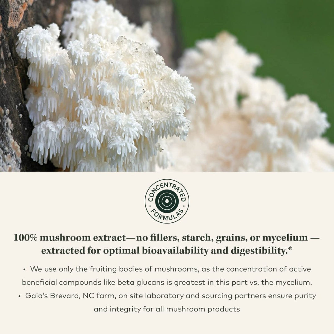 Gaia Herbs Lion's Mane Mushroom 40 Vcaps - The Oasis of Health