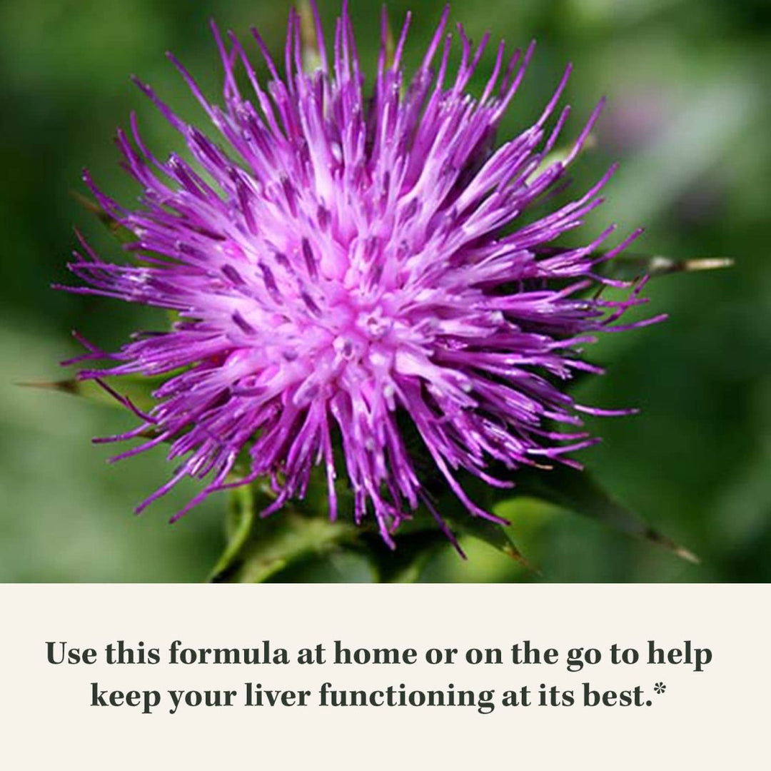 Gaia Herbs Liver Cleanse - Liver Health Support Herbal Supplement with Milk Thistle, Burdock, Turmeric Curcumin, Dandelion, and More - 60 Vegan Liquid Phyto - Caps (30 Servings) - The Oasis of Health
