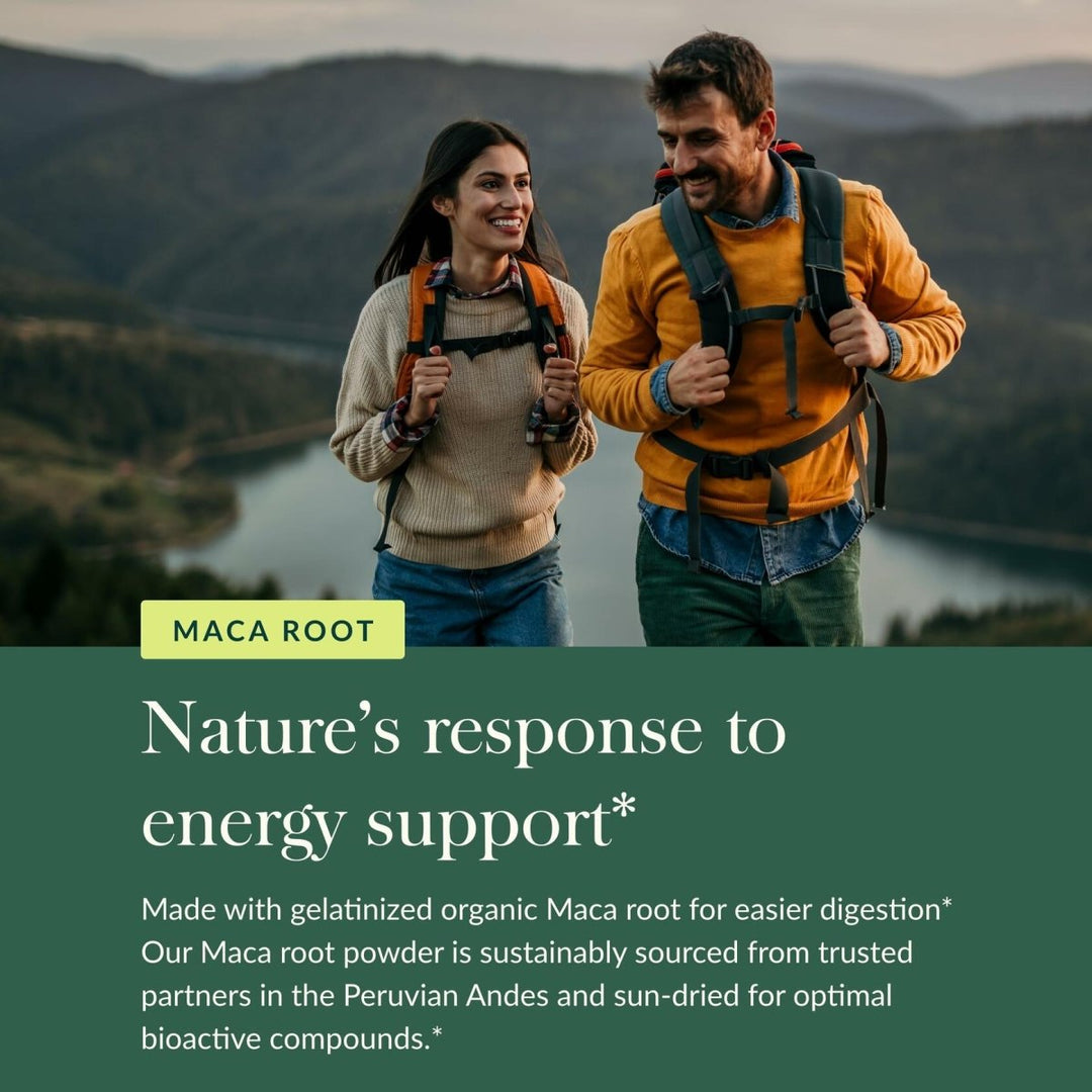 Gaia Herbs Maca Powder - Natural Energy Supplement - Supports and Maintains Healthy Energy and Stamina - Made with USDA Certified Organic Maca Root (Lepidium meyenii) - 8 Oz (69 - Day Supply) - The Oasis of Health