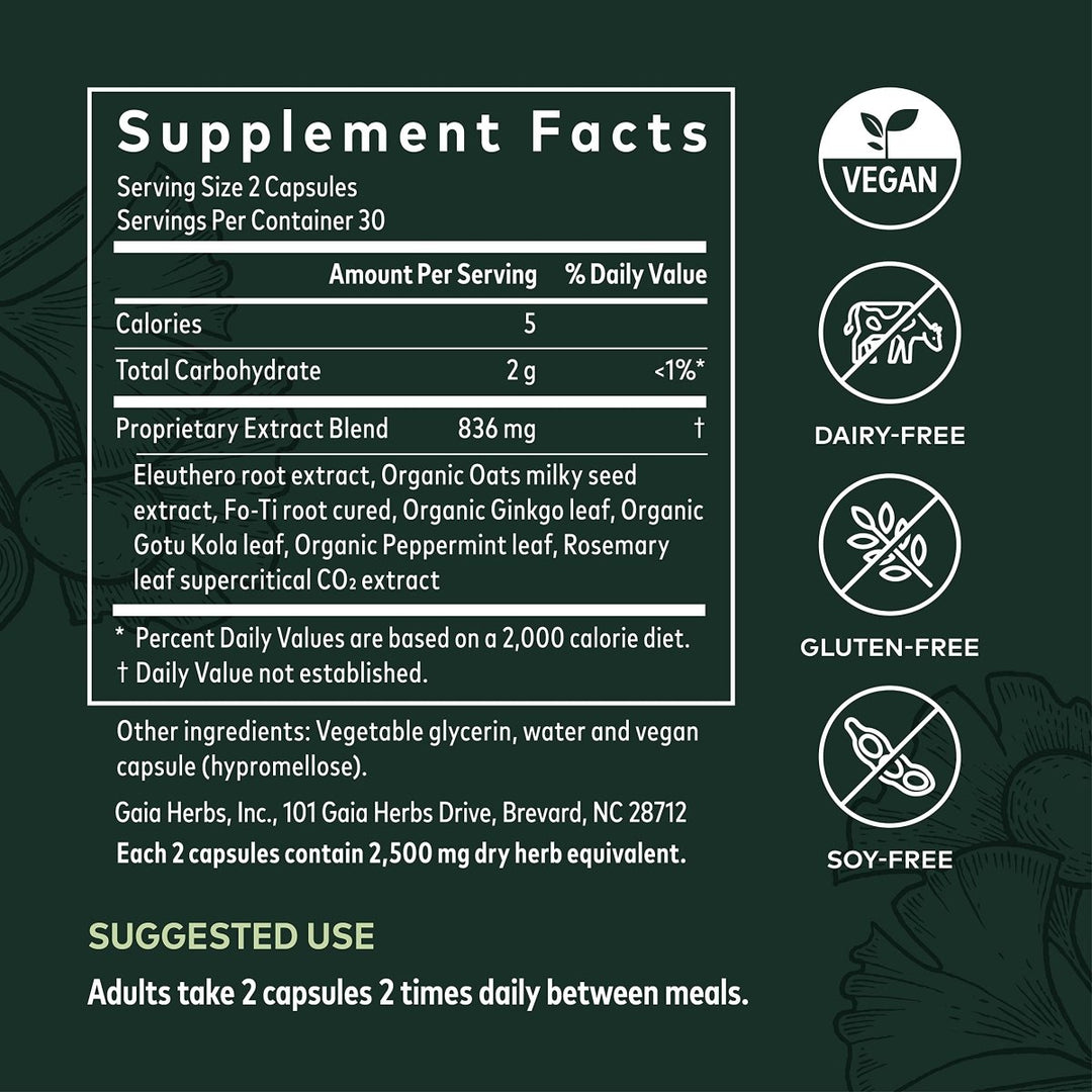 Gaia Herbs Mental Alertness - Brain Support Supplement to Help Maintain Focus & Memory* - with Eleuthero, Ginkgo Leaf, Gotu Kola, Rosemary & Oats - 60 Vegan Liquid Phyto - Capsules (15 - Day Supply) - The Oasis of Health