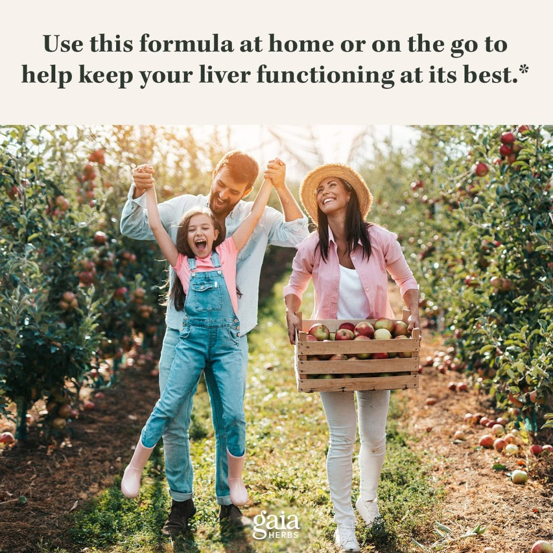 Gaia Herbs Milk Thistle - Liver Supplement & Cleanse Support for Maintaining Healthy Liver Function* - 120 Vegan Capsules (20 - Day Supply) - The Oasis of Health