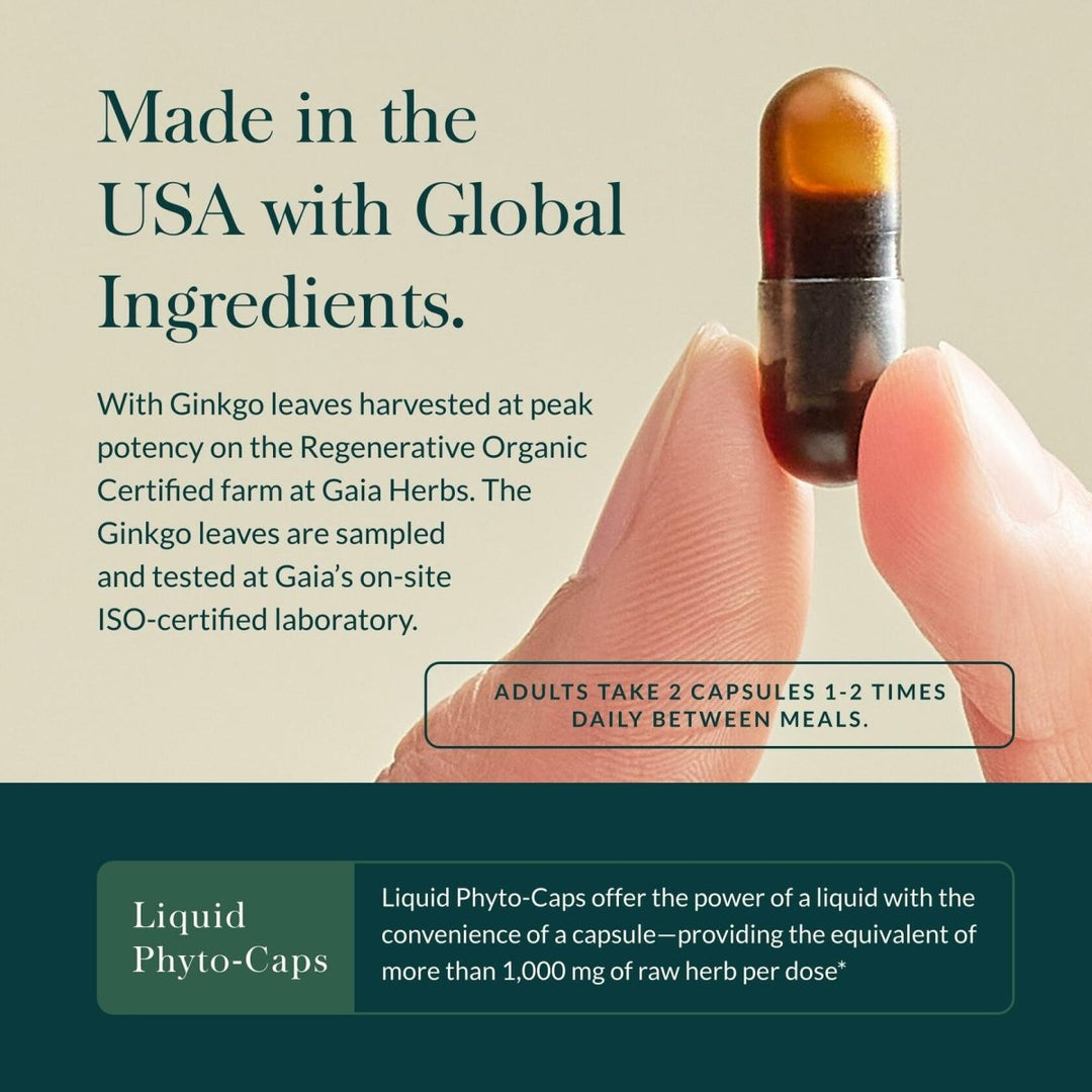 Gaia Herbs Nootropic Focus - Brain & Cognitive Support Supplement to Help Maintain Healthy Concentration* - with Saffron, Lemon Balm & Spearmint - 20 - The Oasis of Health