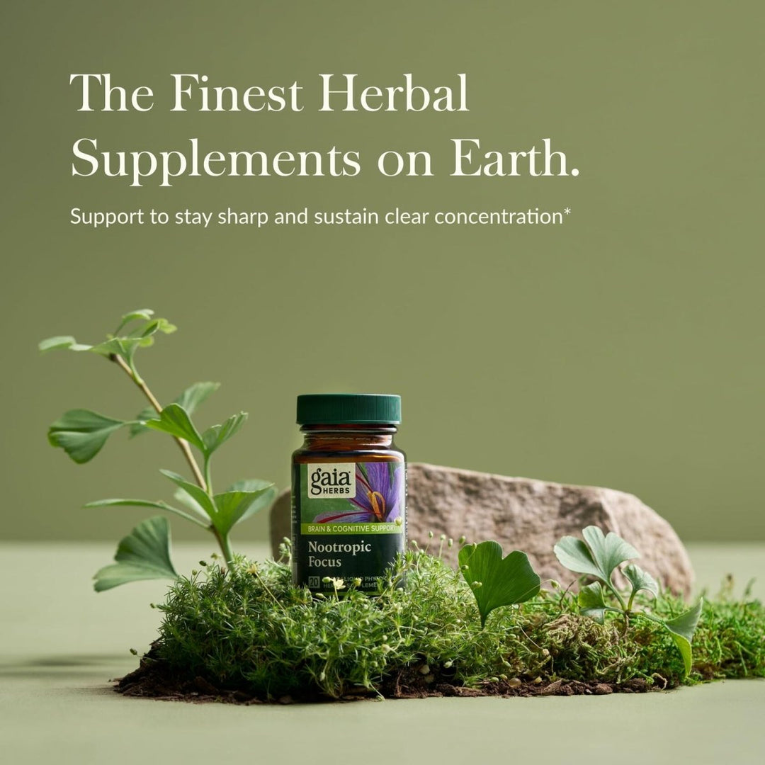 Gaia Herbs Nootropic Focus - Brain & Cognitive Support Supplement to Help Maintain Healthy Concentration* - with Saffron, Lemon Balm & Spearmint - 20 - The Oasis of Health