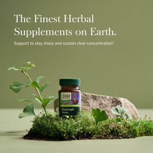 Gaia Herbs Nootropic Focus - Brain & Cognitive Support Supplement to Help Maintain Healthy Concentration* - with Saffron, Lemon Balm & Spearmint - 20 - The Oasis of Health