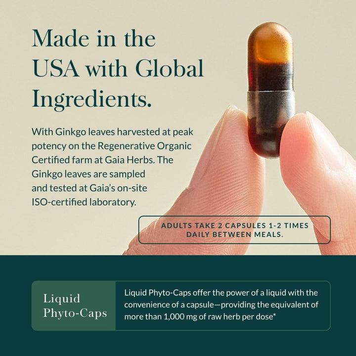 Gaia Herbs Nootropic Focus - Brain & Cognitive Support Supplement to Help Maintain Healthy Concentration* - with Saffron, Lemon Balm & Spearmint - 20 - The Oasis of Health