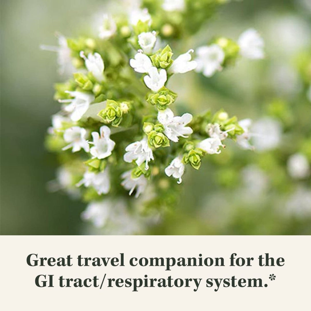 Gaia Herbs Oil of Oregano - 60 Vegan Liquid Phyto - Capsules (30 - Day Supply) - The Oasis of Health