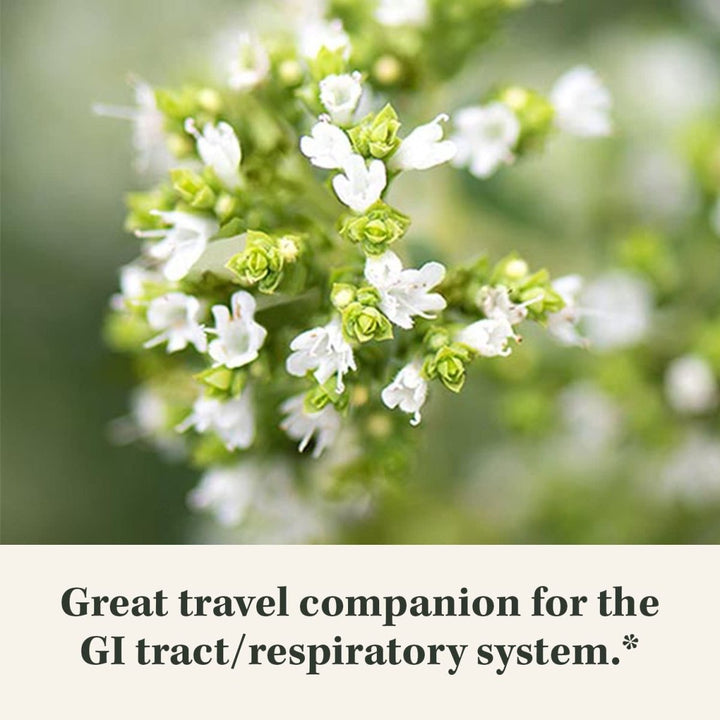 Gaia Herbs Oil of Oregano - 60 Vegan Liquid Phyto - Capsules (30 - Day Supply) - The Oasis of Health