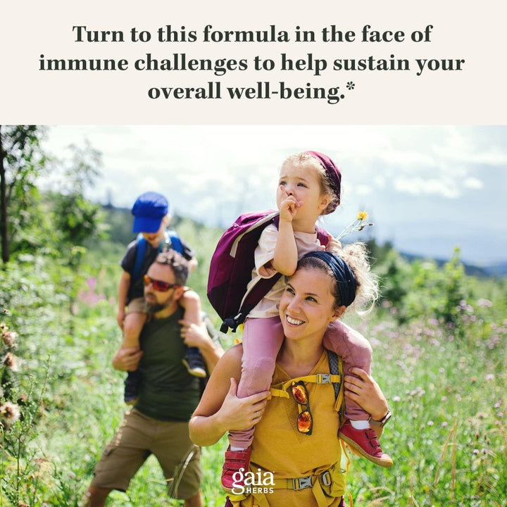 Gaia Herbs Olive Leaf - Traditional Immune Health Support - Immune System Supplement with Olive Leaf Extract and Oleuropein - 120 Vegan Liquid Phyto - Caps - The Oasis of Health