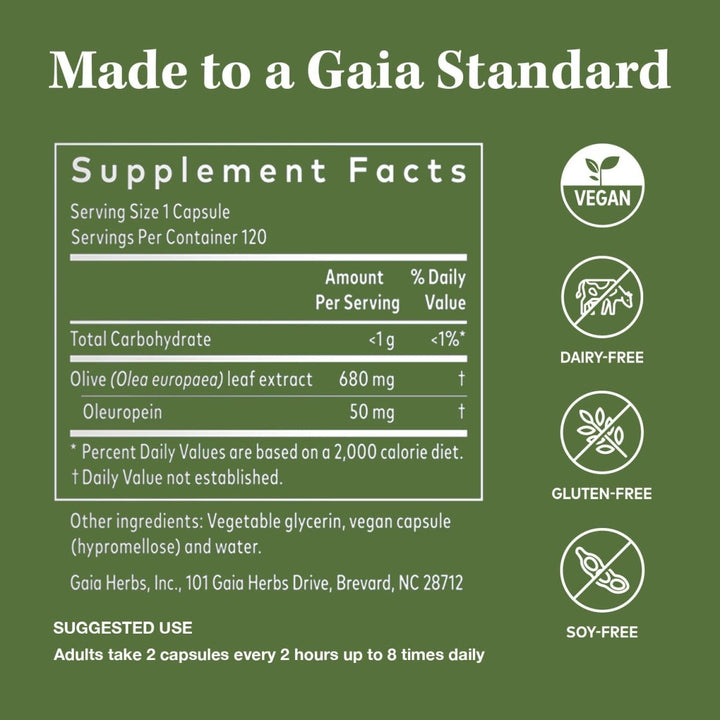 Gaia Herbs Olive Leaf - Traditional Immune Health Support - Immune System Supplement with Olive Leaf Extract and Oleuropein - 120 Vegan Liquid Phyto - Caps - The Oasis of Health