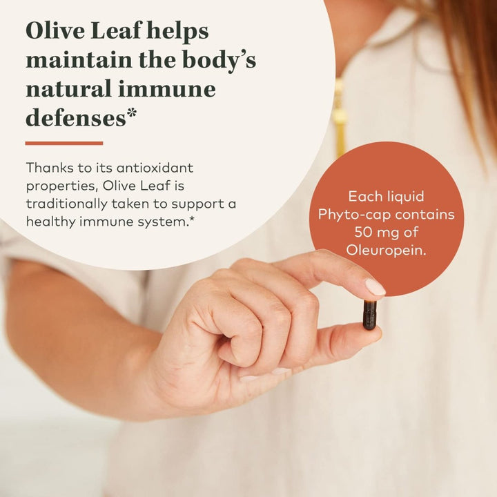 Gaia Herbs Olive Leaf - Traditional Immune Health Support - Immune System Supplement with Olive Leaf Extract and Oleuropein - 120 Vegan Liquid Phyto - Caps - The Oasis of Health