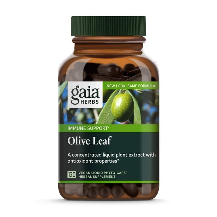 Gaia Herbs Olive Leaf - Traditional Immune Health Support - Immune System Supplement with Olive Leaf Extract and Oleuropein - 120 Vegan Liquid Phyto - Caps - The Oasis of Health