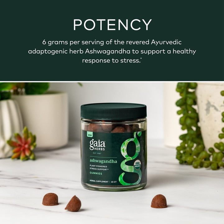 Gaia Herbs Organic Ashwagandha Gummies, Stress Support, Cinnamon, Ginger, Gluten Free, Vegan, 45 Count - The Oasis of Health