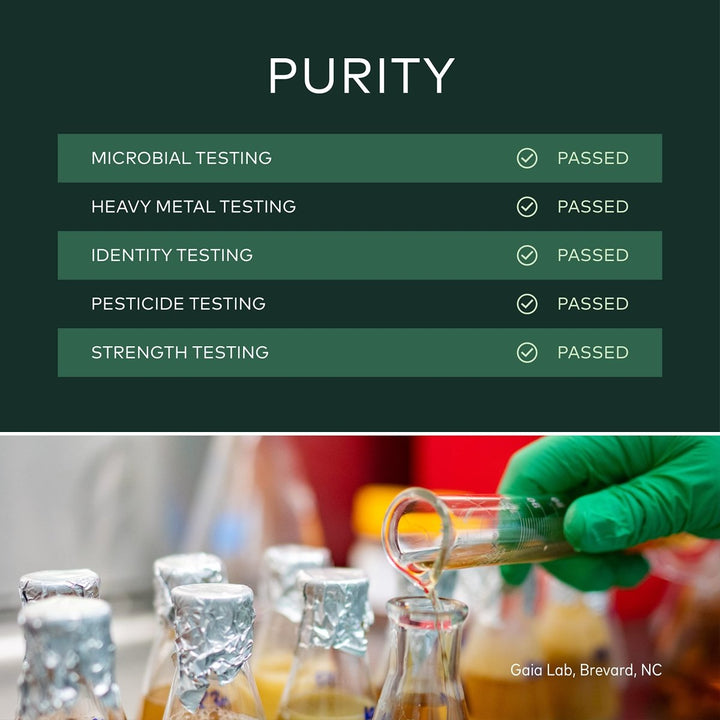 Gaia Herbs Organic Ashwagandha Gummies, Stress Support, Cinnamon, Ginger, Gluten Free, Vegan, 81 Count - The Oasis of Health